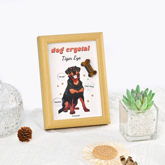 Pet Crystal Display Stand